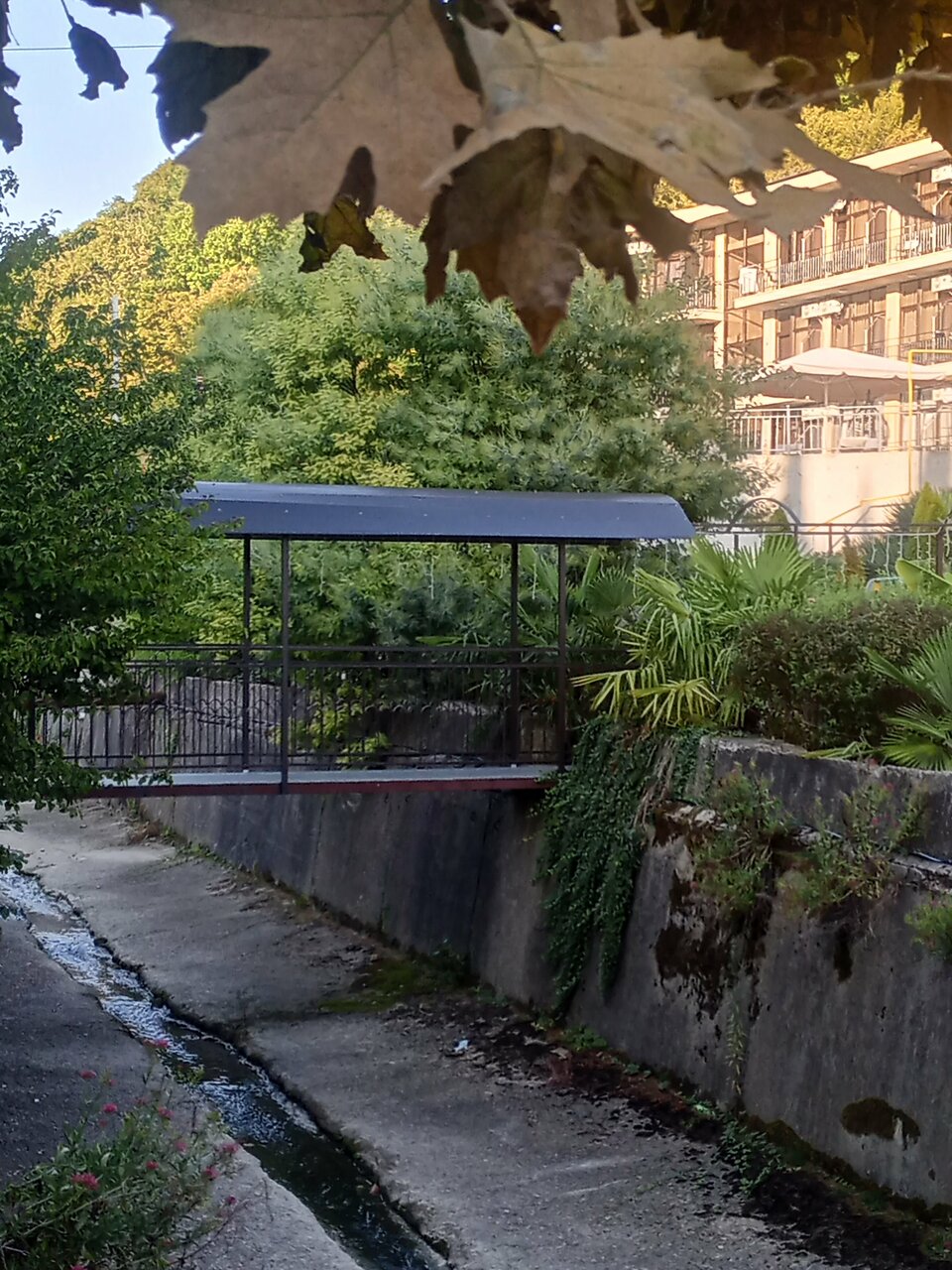 Гостиница Море и Горы Лазаревское-156