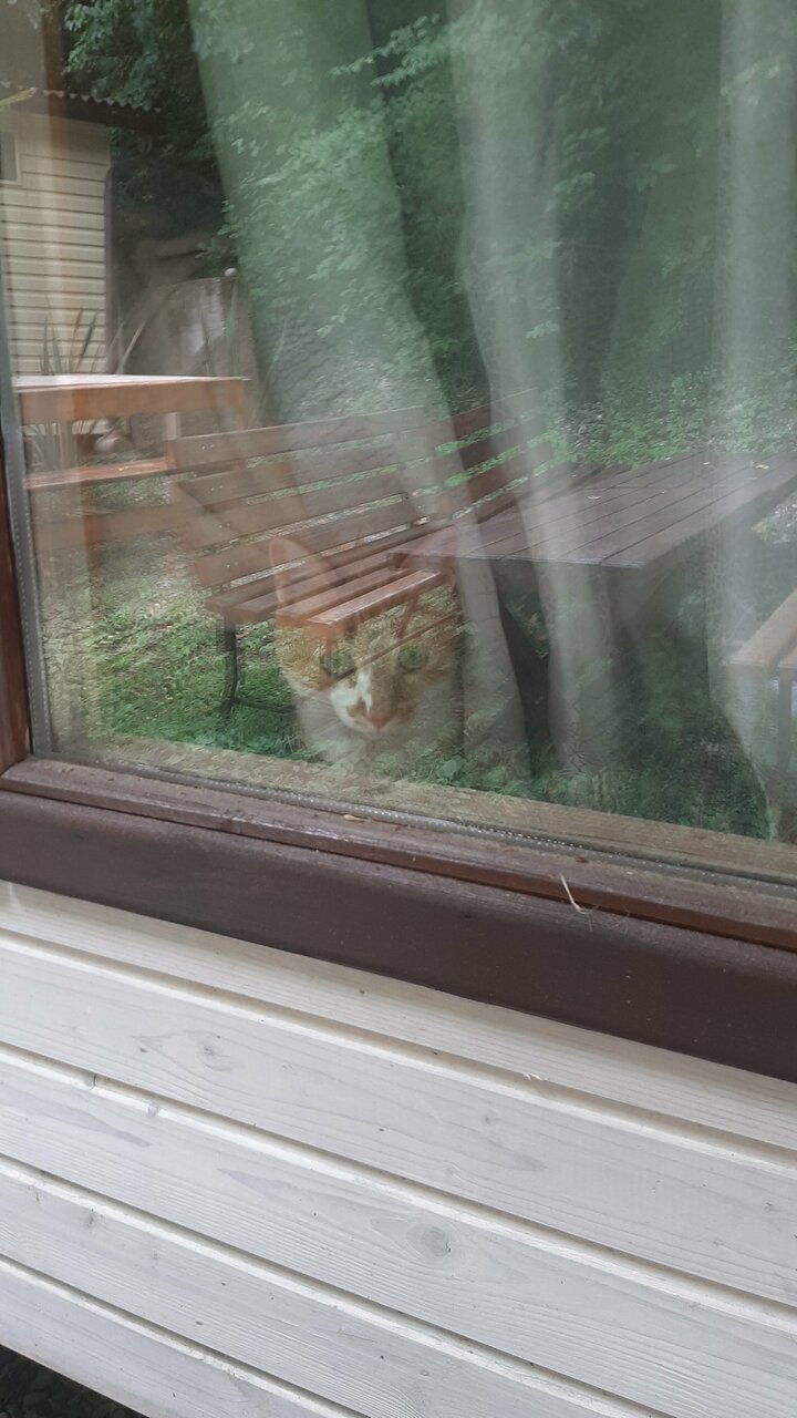 Гостиница Море и Горы Лазаревское-118