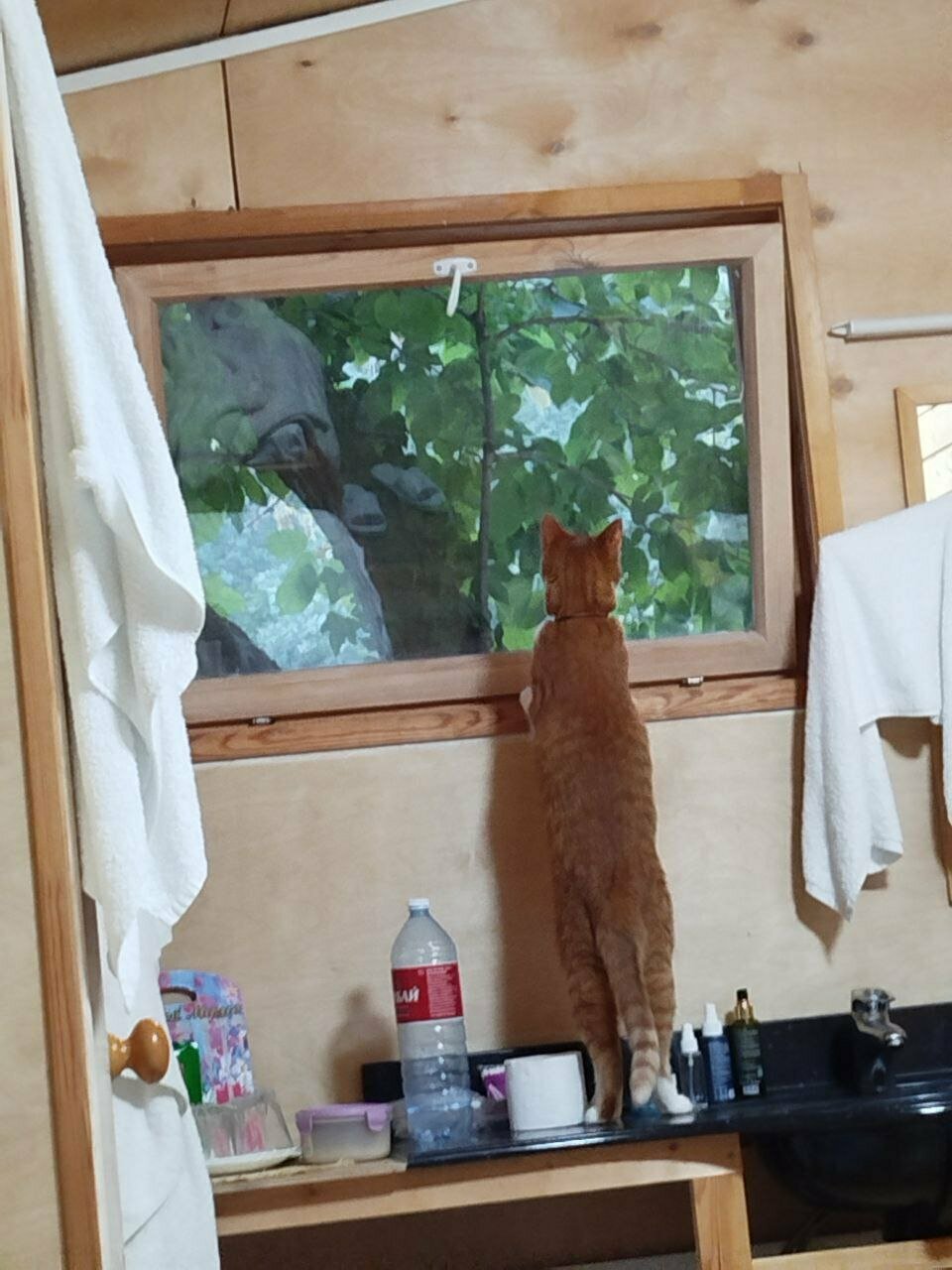 Гостиница Море и Горы Лазаревское-142