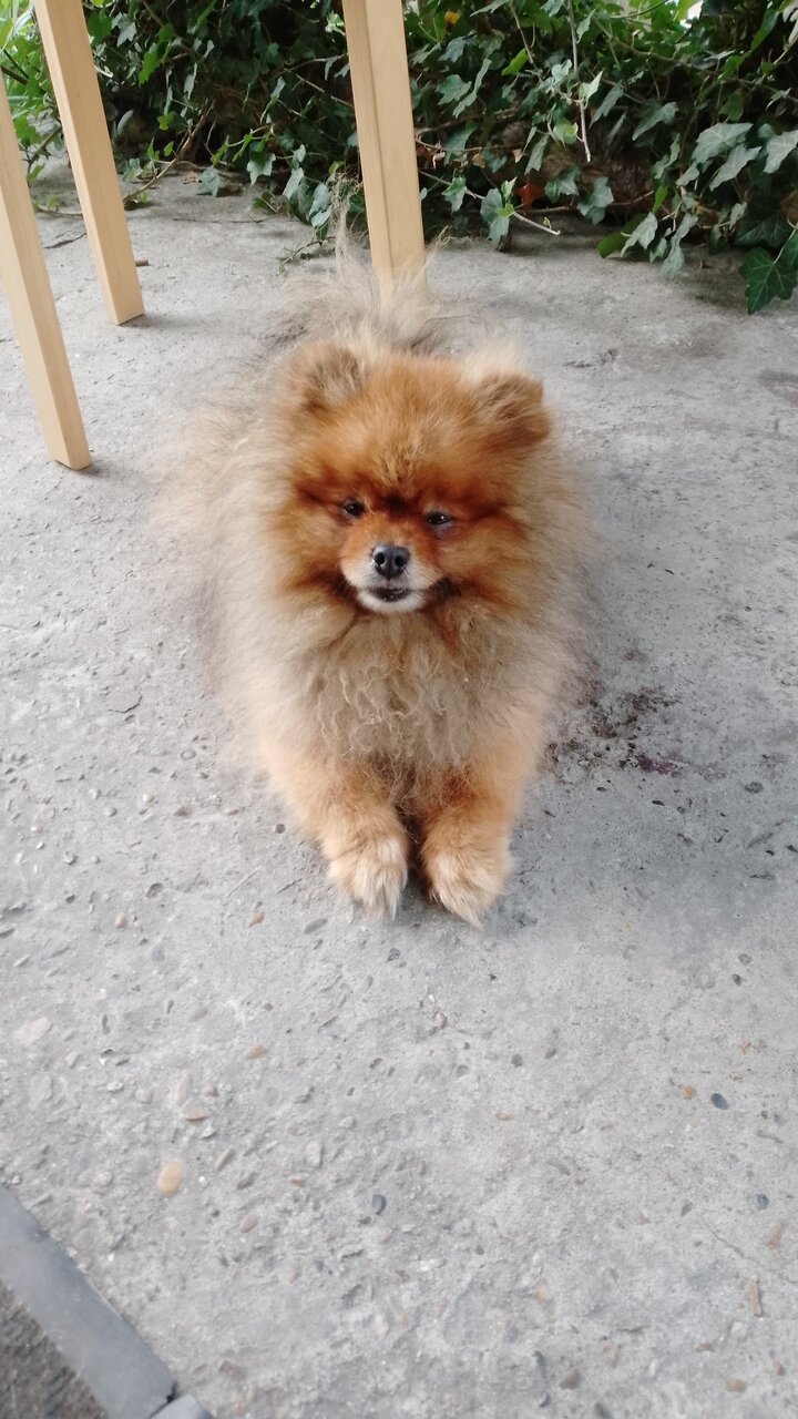 Гостиница Море и Горы Лазаревское