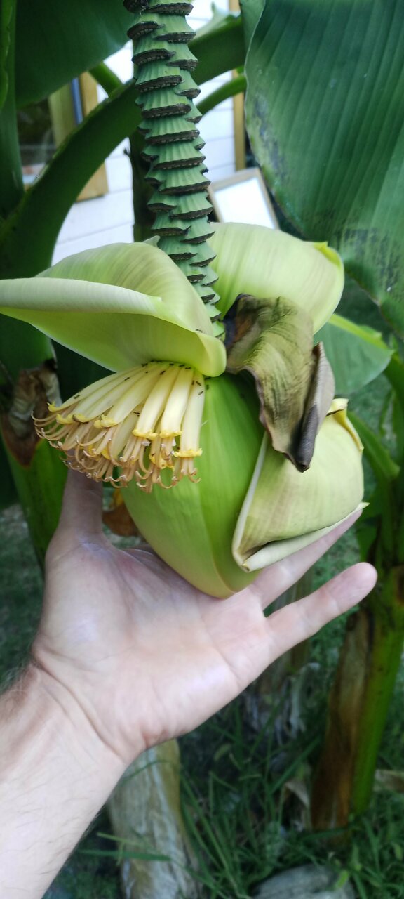 Гостиница Море и Горы Лазаревское-132