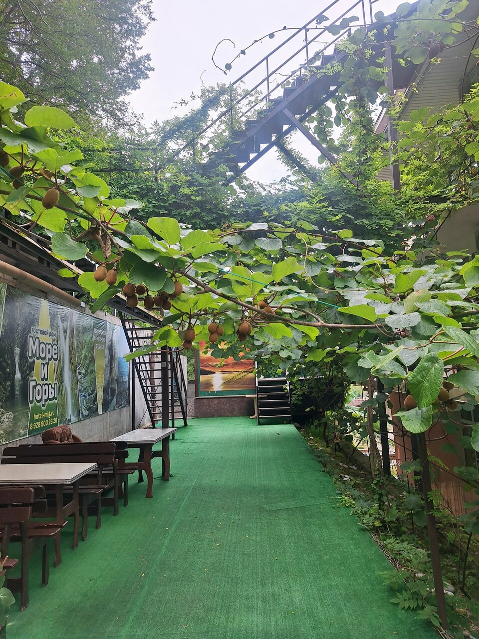 Гостиница Море и Горы Лазаревское-124