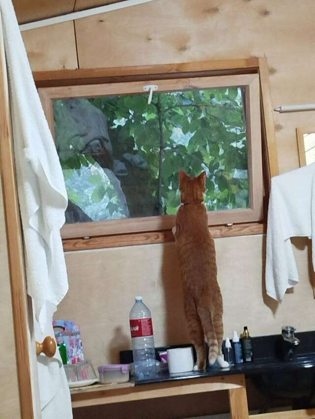 Гостиница Море и Горы Лазаревское-141