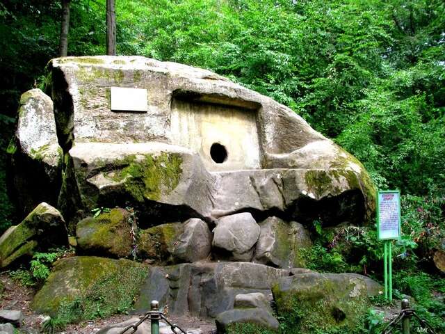 Гостиница Море и Горы Лазаревское-94