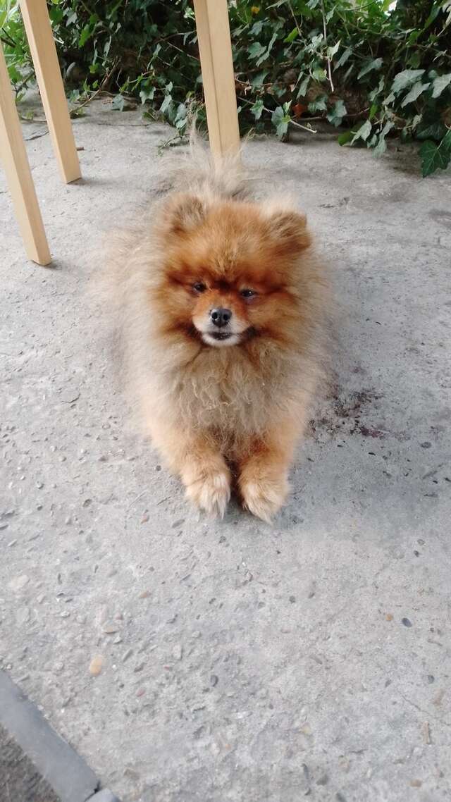 Гостиница Море и Горы Лазаревское-119