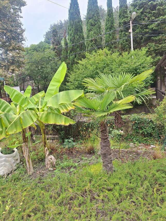 Гостиница Море и Горы Лазаревское-87