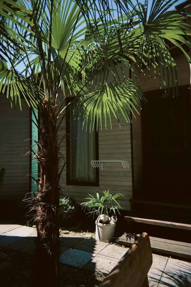 Гостиница Море и Горы Лазаревское-157